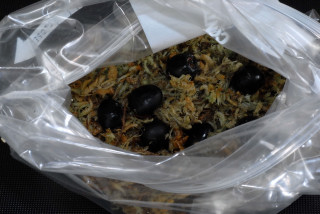 Seeds mixed with moss in a ziplock bag.