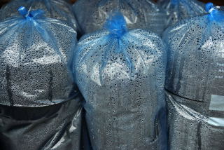 Sealed bag method for raising canna rhizomes