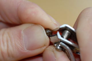 Chipping a canna seed with toe nail clippers chipping a canna seed with toe nail clippers