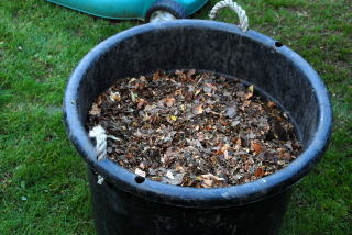 Shredded leaves ready to compost