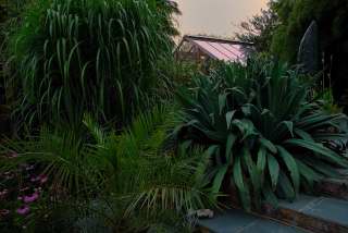 View of the green house