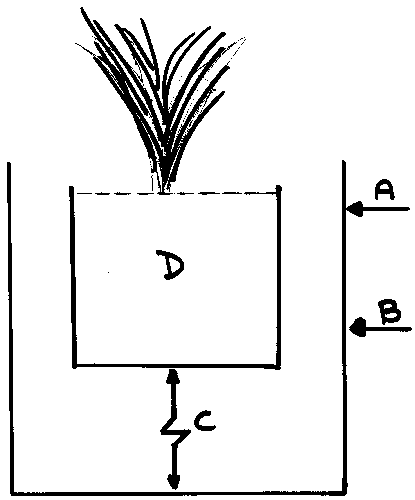Diagram showing where to drill holes in a container for carnivorous plants.