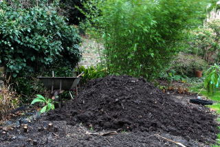 Mature compost pile awaiting use in the spring.
