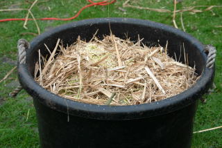 Shredded material ready to be composted.