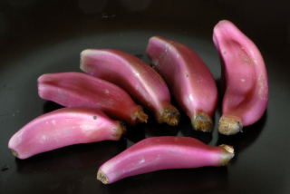 Pink bananas