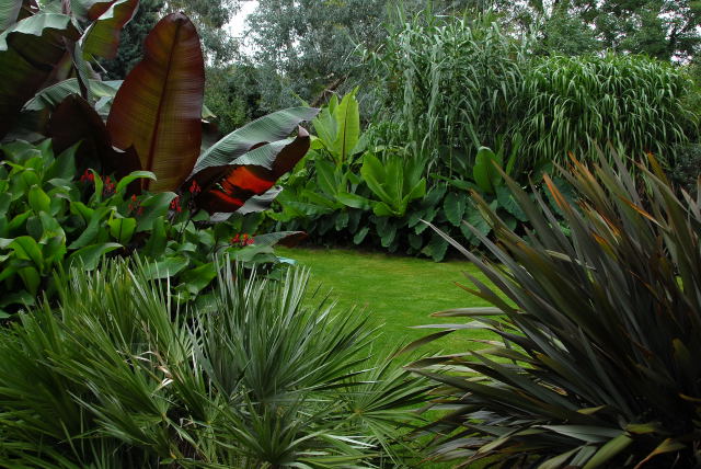 The view from the steps into the garden. Both borders viewed together.