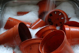 Clean flower pots Clean flower pots