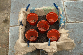 Pond basket with empty pots