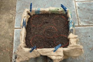 5. Flower pots and basket filled to the same level
