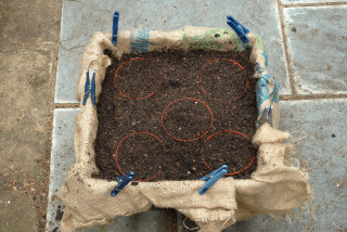 Flower pots and basket filled to the same level