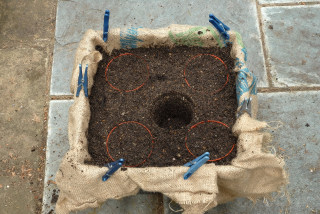 Basket with one flower pot removed