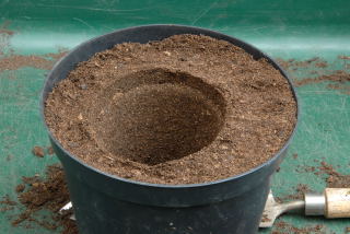 A pot sized hole remains. A pot sized hole remains.