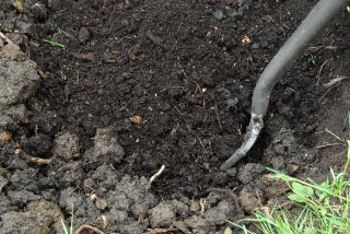 Compost is added to the sub soil