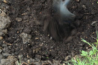 The compost is mixed with the sub soil