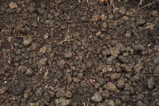post mix clay soil.