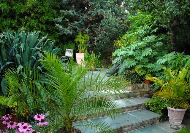 Exotic patio facing north