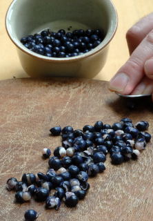 Production line seed retrieval. Production line seed retrieval.