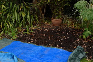 A tarpulin is placed on the lawn alongside the area to be transformed into a swamp