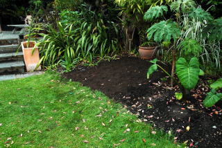 The bog garden ready for planting.