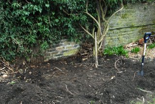 Area cleared Area cleared of the giant reed