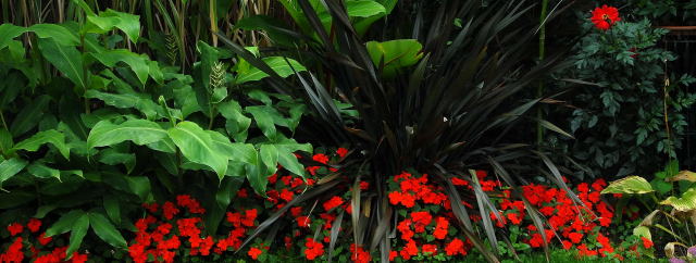 Red impatiens moulding seamlessly to other foliage.