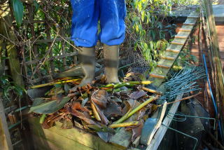 Trampling down helps to fit in as much as possible. Standing on a full compost bin.