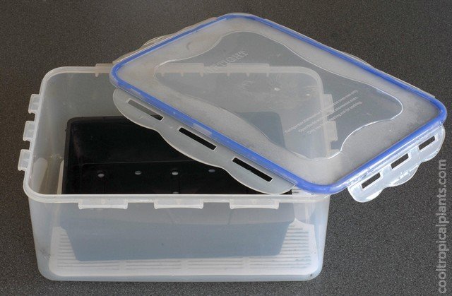 A clear plastic container with a seed tray inside.