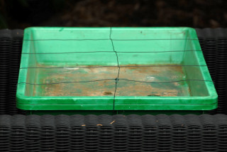 Heated propagator with wire frame attached.