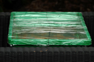 Heated propagator with cling film cover.
