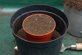 A flower pot inside a bigger flower pot