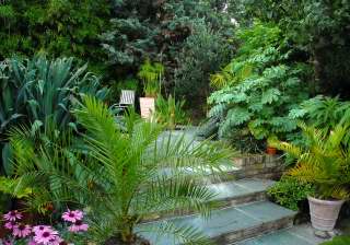 Sun trap patio facing north